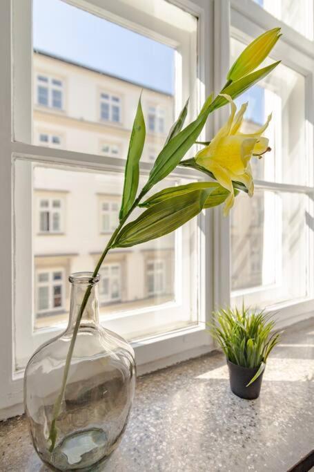 Royal Route Apartment Fully Equipped Cracovia Exterior foto